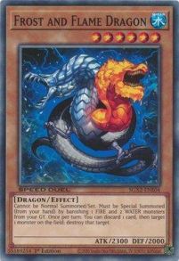 Frost and Flame Dragon