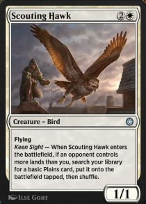 Scouting Hawk