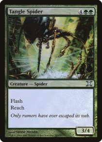 Tangle Spider