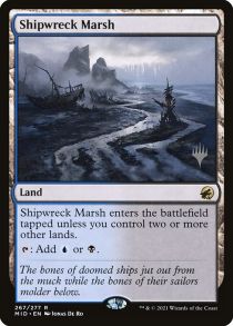 Shipwreck Marsh