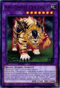 Amazoness Pet Liger